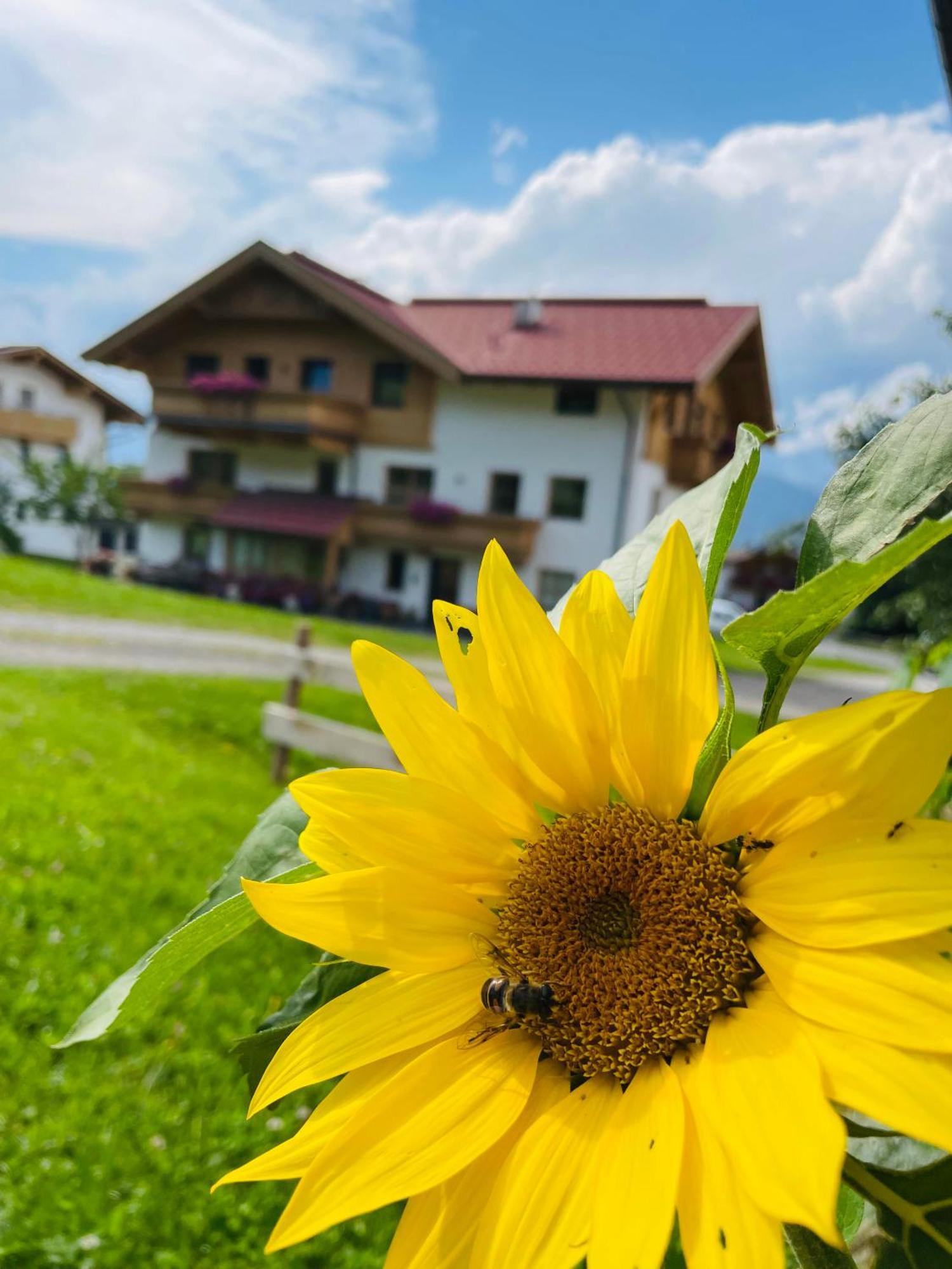 Schneiderhof Villa Weerberg Exterior foto